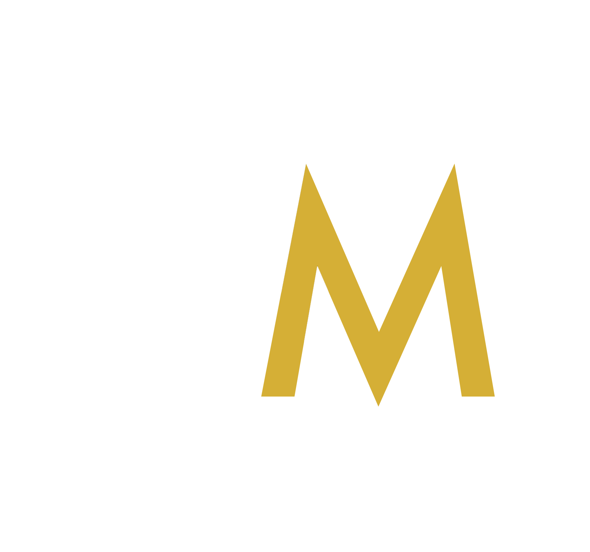 66446c18c95369c0f403fdb7_Logo kurz schwarz 1 